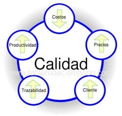 Recursos Humanos - Gestion de Calidad