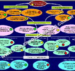 Mapa del Plan Estratégico