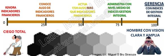 Indicadores de Ceguera Gerencial
